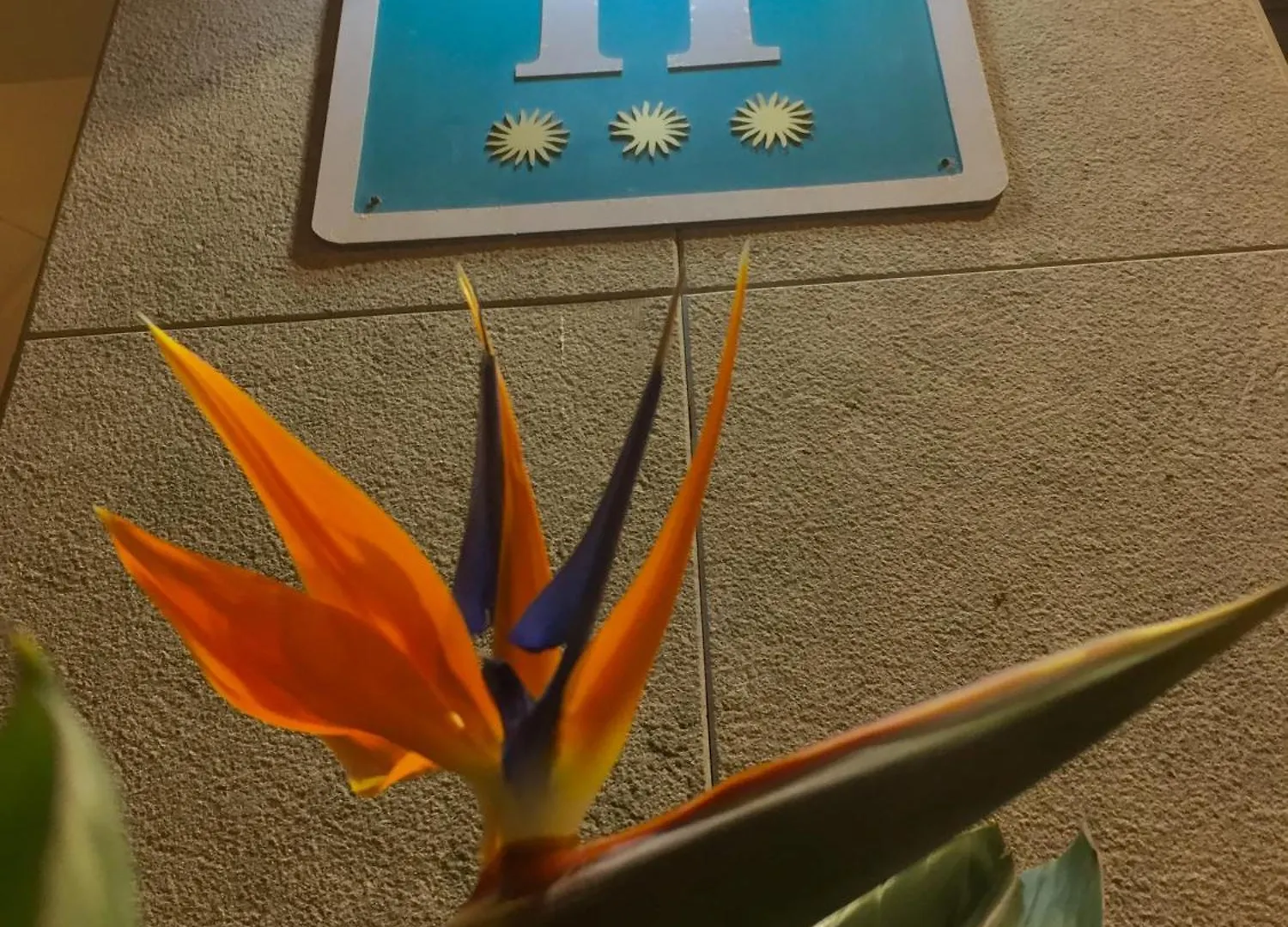 Hotel Stella Maris Blanes 3*,