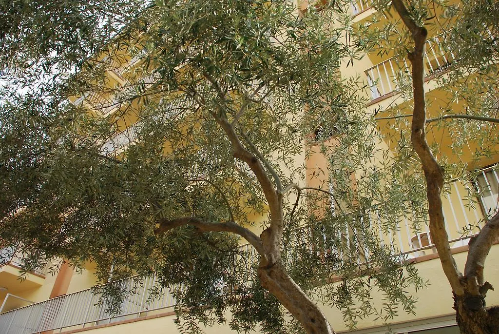 Hotel Stella Maris Бланес 3*,